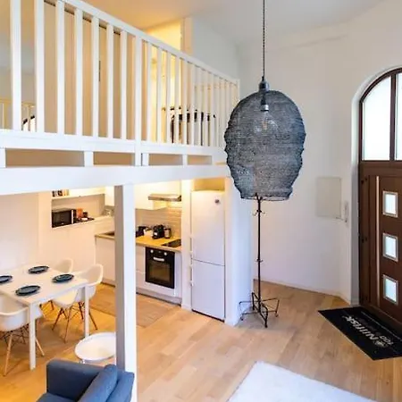 Duplex Spacieux Au Calme * Strasbourg